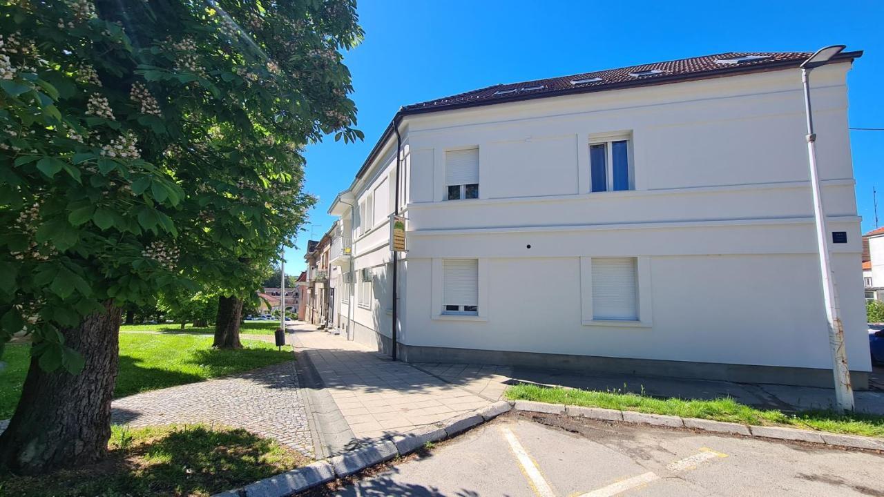 Rooms With A Parking Space Daruvar, Bjelovarska - 18842 Zewnętrze zdjęcie